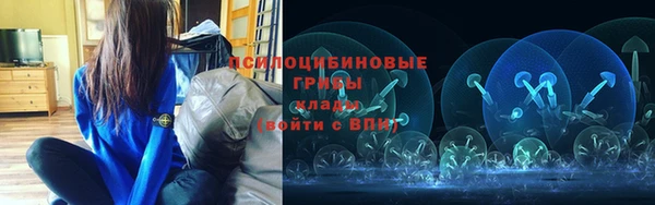 первитин Алексеевка
