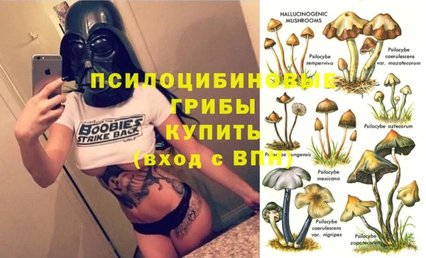 прущие крисы Алексин