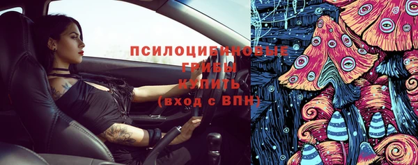 мяу мяу мука Алзамай