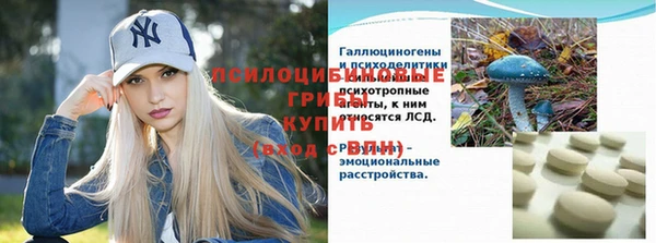 мяу мяу мука Алзамай