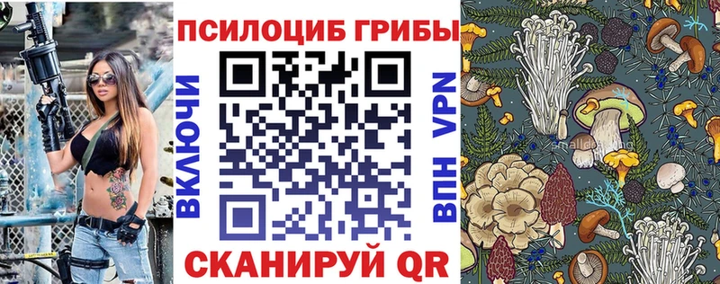 Псилоцибиновые грибы прущие грибы  Старая Купавна 